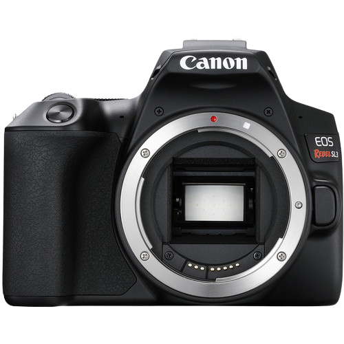 Canon EOS 250D: Sample Images with EXIF data