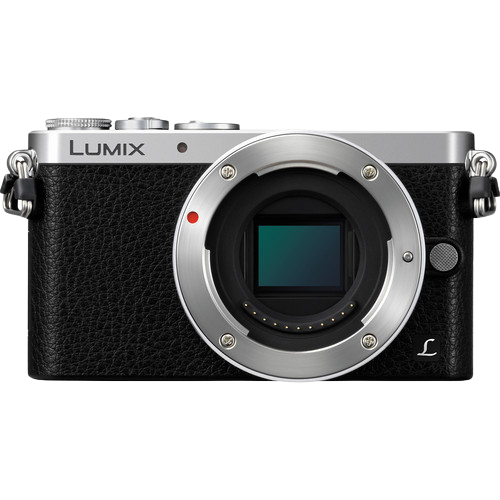 Panasonic DMC-GM1: Sample Images with EXIF data (2022)